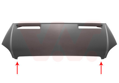 VAN WEZEL Motorhaube