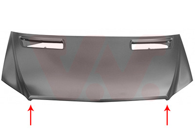 VAN WEZEL Motorhaube