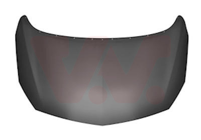 VAN WEZEL Motorhaube