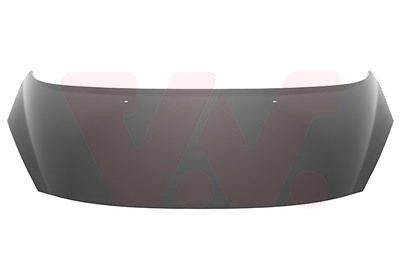 VAN WEZEL Motorhaube