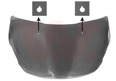 VAN WEZEL Motorhaube