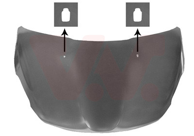 VAN WEZEL Motorhaube