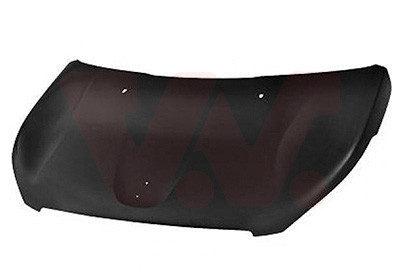 VAN WEZEL Motorhaube