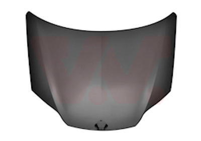 VAN WEZEL Motorhaube