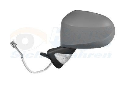 VAN WEZEL Außenspiegel