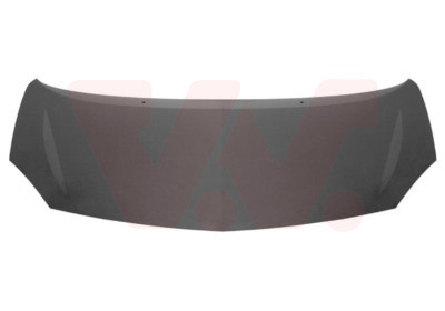 VAN WEZEL Motorhaube