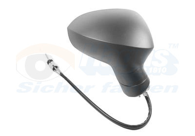 VAN WEZEL Außenspiegel