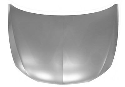 VAN WEZEL Motorhaube