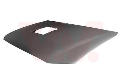 VAN WEZEL Motorhaube