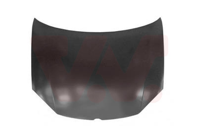 VAN WEZEL Motorhaube