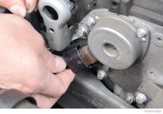 HERTH+BUSS ELPARTS Anschlussleitung, Stellmagnet-Nockenwellenverstellung