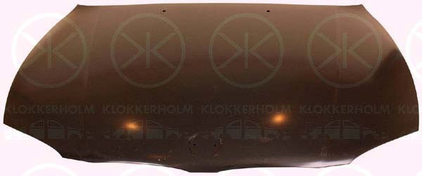 KLOKKERHOLM Motorhaube