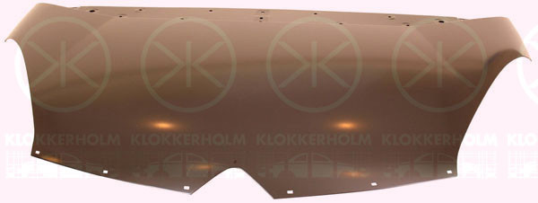 KLOKKERHOLM Motorhaube