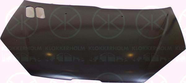 KLOKKERHOLM Motorhaube