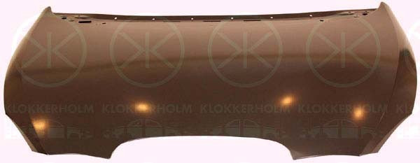 KLOKKERHOLM Motorhaube