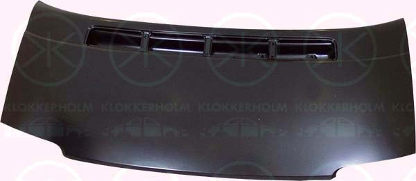 KLOKKERHOLM Motorhaube