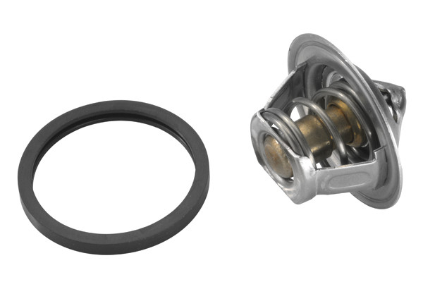 BorgWarner (Wahler) Thermostat, Kühlmittel