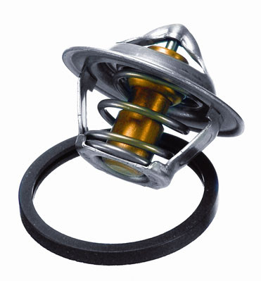 BorgWarner (Wahler) Thermostat, Kühlmittel