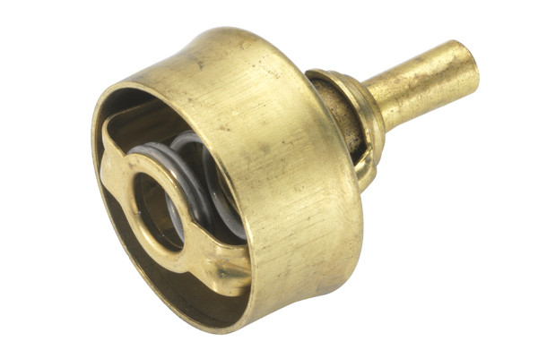 BorgWarner (Wahler) Thermostat, Kühlmittel