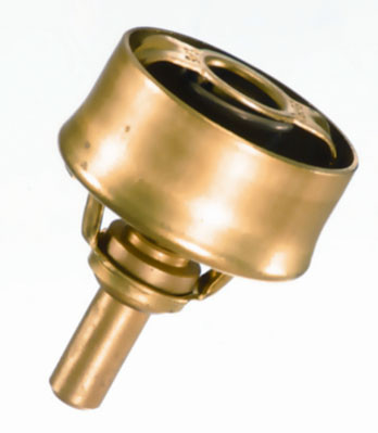 BorgWarner (Wahler) Thermostat, Kühlmittel