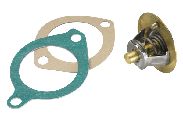 BorgWarner (Wahler) Thermostat, Kühlmittel