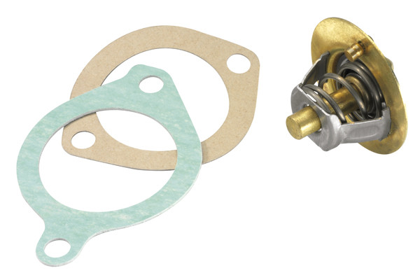 BorgWarner (Wahler) Thermostat, Kühlmittel