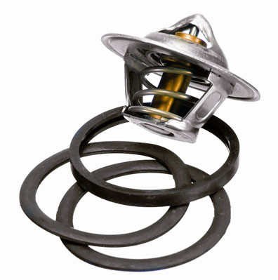 BorgWarner (Wahler) Thermostat, Kühlmittel