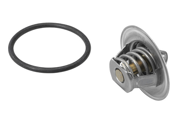 BorgWarner (Wahler) Thermostat, Kühlmittel