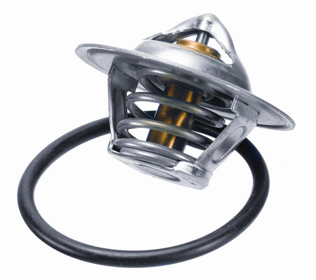 BorgWarner (Wahler) Thermostat, Kühlmittel