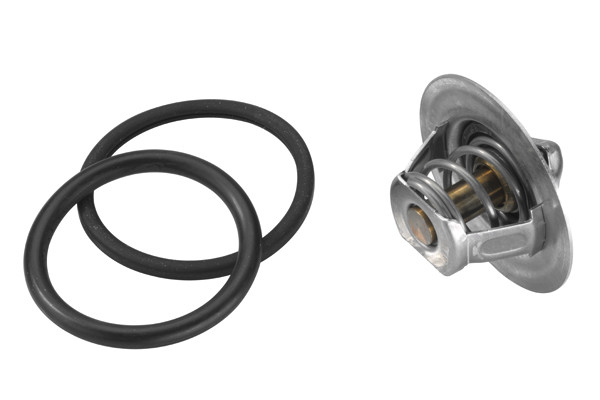 BorgWarner (Wahler) Thermostat, Kühlmittel