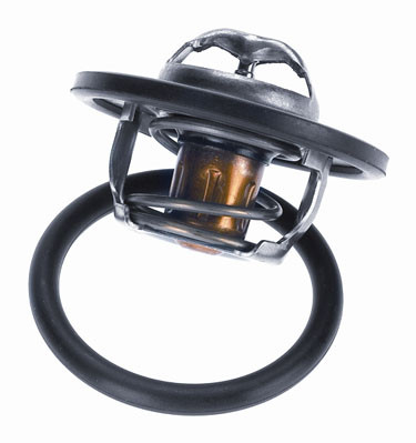 BorgWarner (Wahler) Thermostat, Kühlmittel