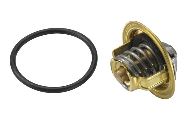 BorgWarner (Wahler) Thermostat, Kühlmittel