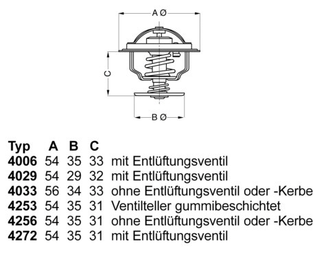 BorgWarner (Wahler) Thermostat, Kühlmittel