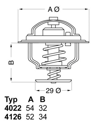 BorgWarner (Wahler) Thermostat, Kühlmittel