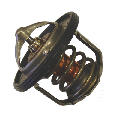 BorgWarner (Wahler) Thermostat, Kühlmittel