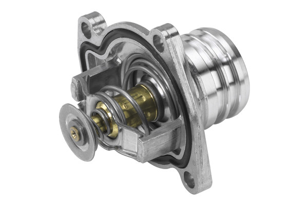 BorgWarner (Wahler) Thermostat, Kühlmittel