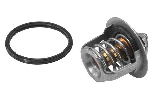 BorgWarner (Wahler) Thermostat, Kühlmittel