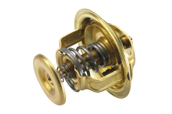 BorgWarner (Wahler) Thermostat, Kühlmittel