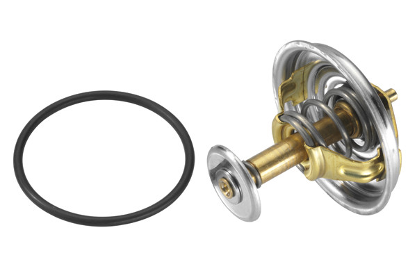 BorgWarner (Wahler) Thermostat, Kühlmittel