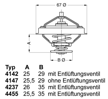 BorgWarner (Wahler) Thermostat, Kühlmittel
