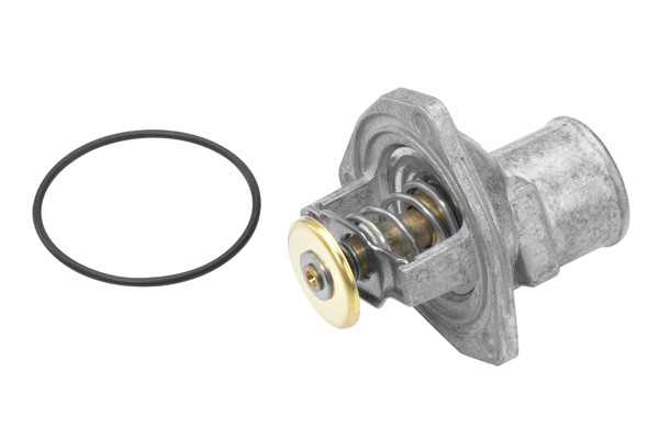 BorgWarner (Wahler) Thermostat, Kühlmittel