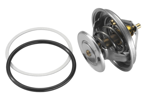 BorgWarner (Wahler) Thermostat, Kühlmittel