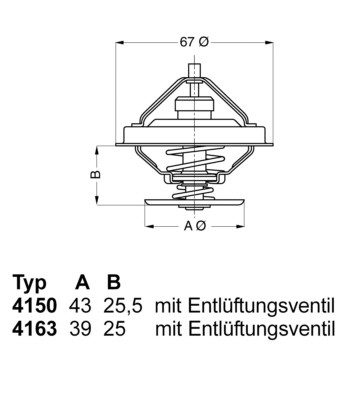 BorgWarner (Wahler) Thermostat, Kühlmittel