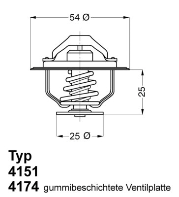 BorgWarner (Wahler) Thermostat, Kühlmittel