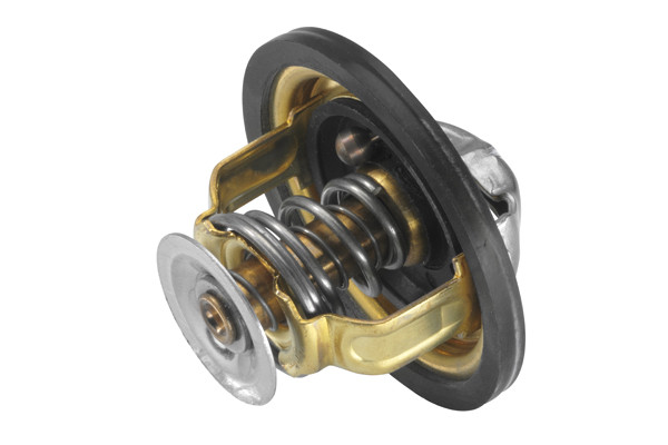 BorgWarner (Wahler) Thermostat, Kühlmittel