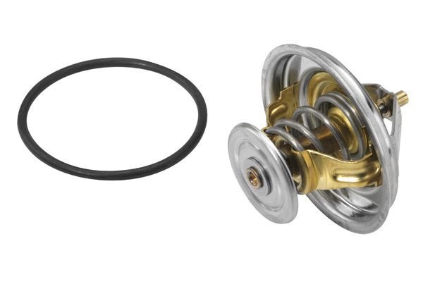 BorgWarner (Wahler) Thermostat, Kühlmittel