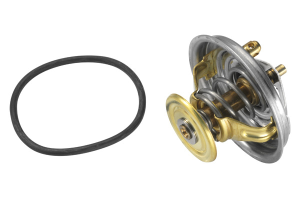 BorgWarner (Wahler) Thermostat, Kühlmittel