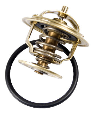 BorgWarner (Wahler) Thermostat, Kühlmittel