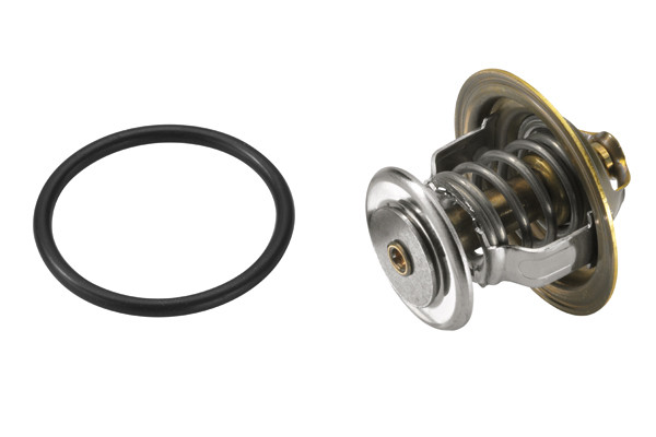 BorgWarner (Wahler) Thermostat, Kühlmittel