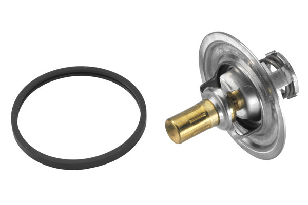 BorgWarner (Wahler) Thermostat, Kühlmittel